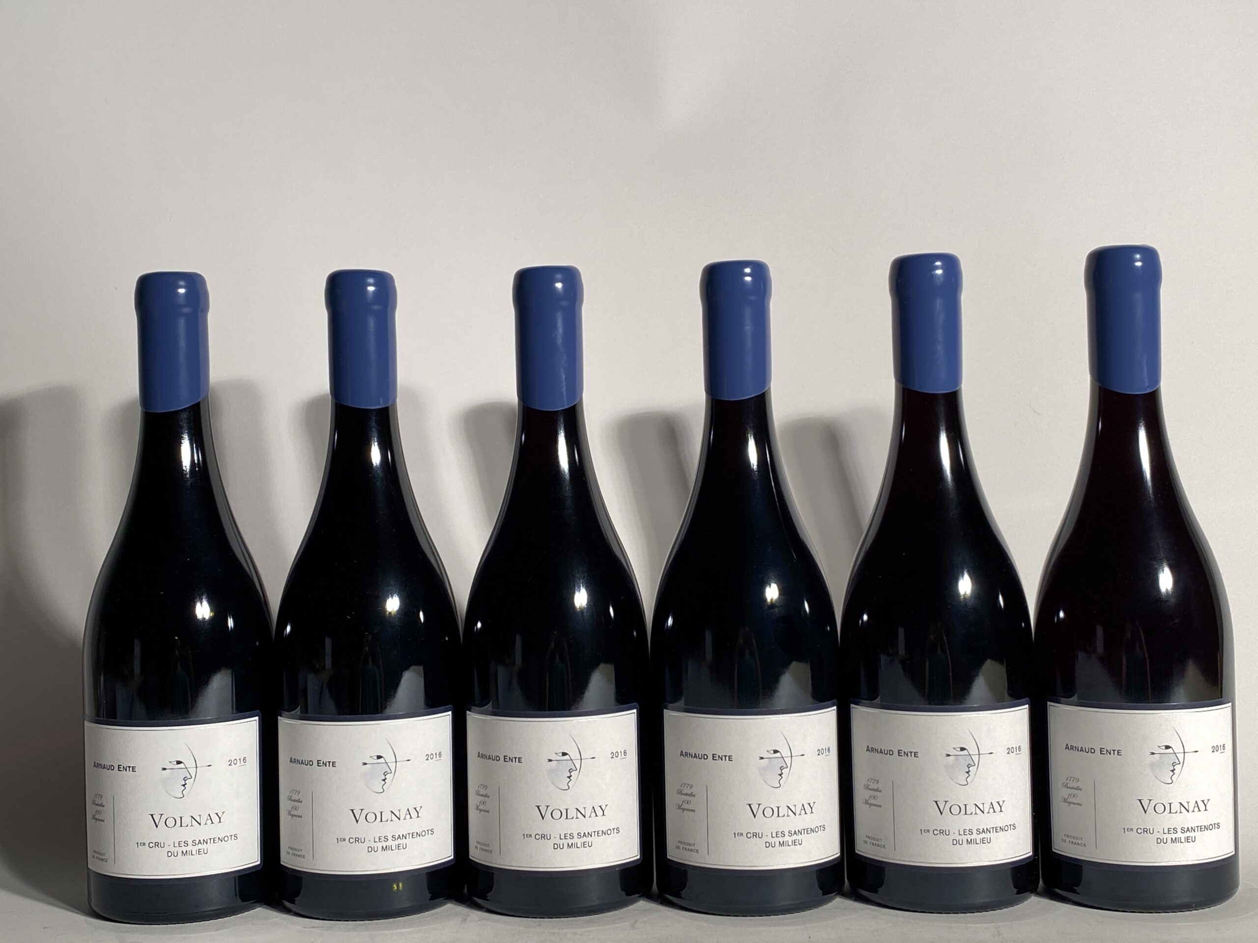 Domaine Arnaud Ente Volnay 1er Cru 2016